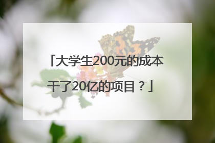大学生200元的成本干了20亿的项目？