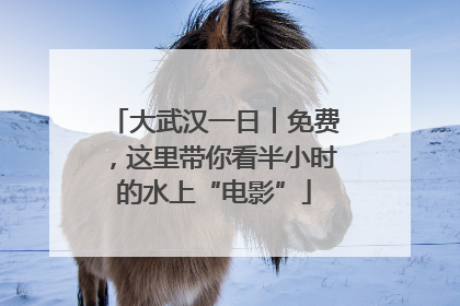 大武汉一日︱免费，这里带你看半小时的水上“电影”