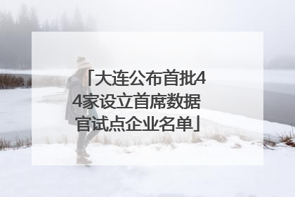 大连公布首批44家设立首席数据官试点企业名单