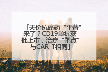 天价抗癌药“平替”来了？CD19单抗获批上市，治疗“靶点”与CAR-T相同