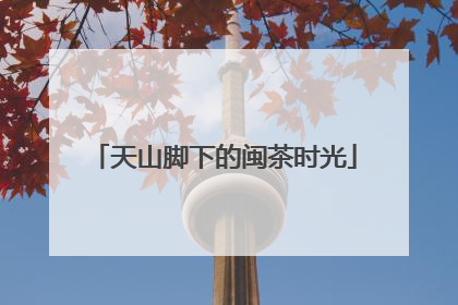 天山脚下的闽茶时光