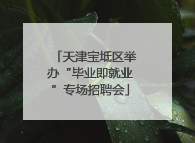 天津宝坻区举办“毕业即就业”专场招聘会