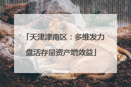 天津津南区：多维发力盘活存量资产增效益