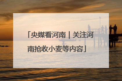 央媒看河南｜关注河南抢收小麦等内容