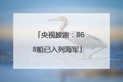 央视披露：868船已入列海军