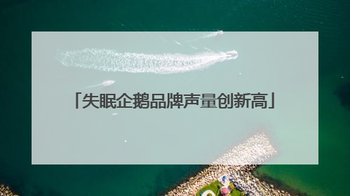 失眠企鹅品牌声量创新高
