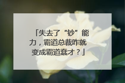 失去了“钞”能力，霸道总裁咋就变成霸道蠢才？