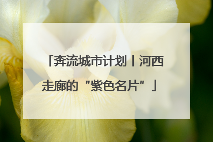 奔流城市计划丨河西走廊的“紫色名片”