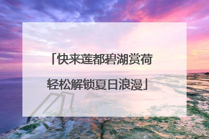 快来莲都碧湖赏荷 轻松解锁夏日浪漫