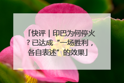 快评｜印巴为何停火？已达成“一场胜利，各自表述”的效果
