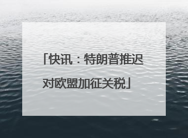 快讯：特朗普推迟对欧盟加征关税