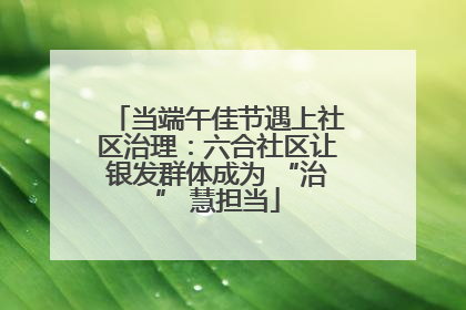 当端午佳节遇上社区治理：六合社区让银发群体成为 “治” 慧担当