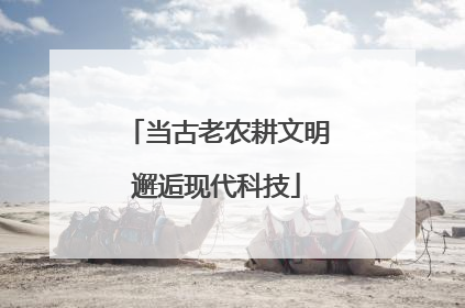 当古老农耕文明邂逅现代科技