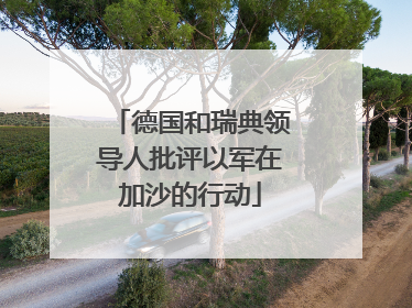 德国和瑞典领导人批评以军在加沙的行动