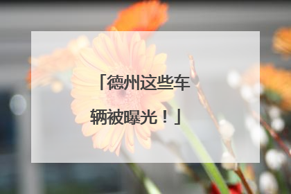德州这些车辆被曝光！