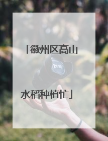 徽州区高山水稻种植忙