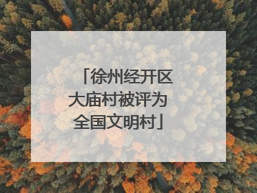 徐州经开区大庙村被评为全国文明村