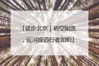 徒步北京｜碧空如洗，运河绿道行者如织