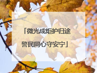 微光成炬护归途 警民同心守安宁