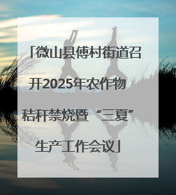 微山县傅村街道召开2025年农作物秸秆禁烧暨“三夏”生产工作会议