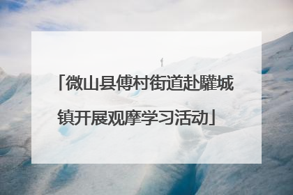 微山县傅村街道赴驩城镇开展观摩学习活动