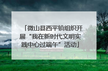 微山县西平镇组织开展“我在新时代文明实践中心过端午”活动