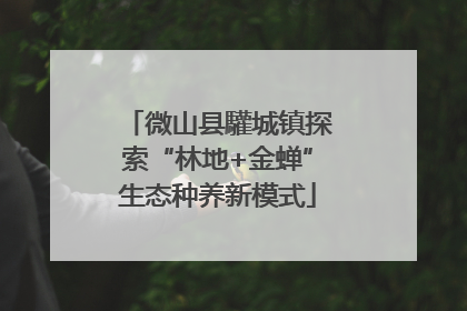 微山县驩城镇探索“林地+金蝉”生态种养新模式