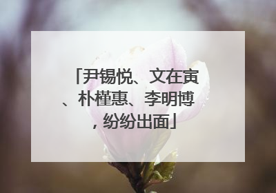 尹锡悦、文在寅、朴槿惠、李明博，纷纷出面