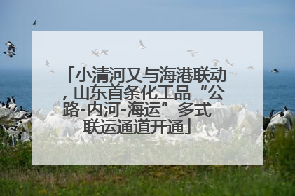 小清河又与海港联动，山东首条化工品“公路-内河-海运”多式联运通道开通