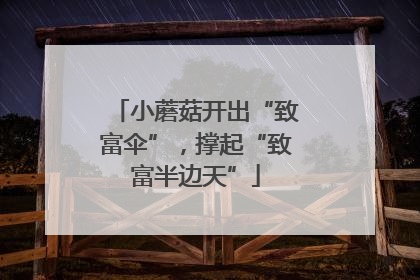 小蘑菇开出“致富伞”，撑起“致富半边天”