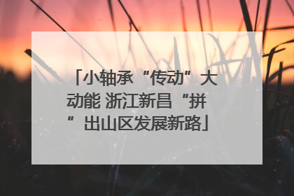 小轴承“传动”大动能 浙江新昌“拼”出山区发展新路