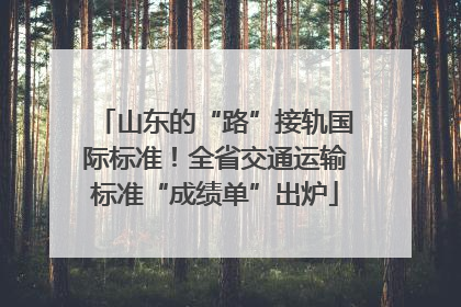 山东的“路”接轨国际标准！全省交通运输标准“成绩单”出炉