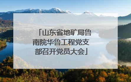 山东省地矿局鲁南院华鲁工程党支部召开党员大会