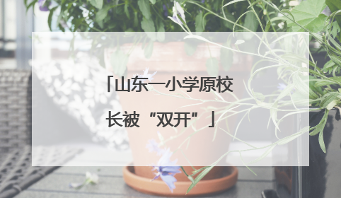 山东一小学原校长被“双开”