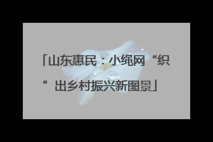 山东惠民：小绳网“织”出乡村振兴新图景