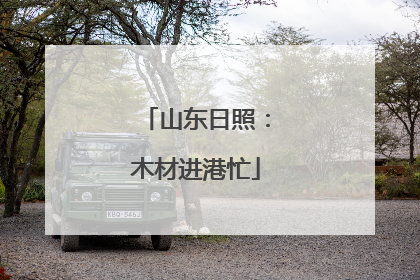 山东日照：木材进港忙
