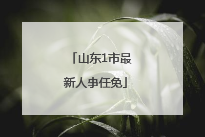 山东1市最新人事任免