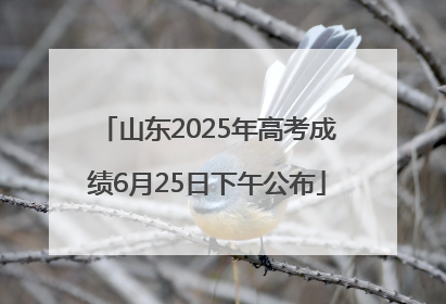 山东2025年高考成绩6月25日下午公布