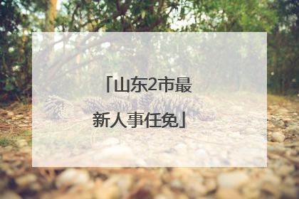 山东2市最新人事任免