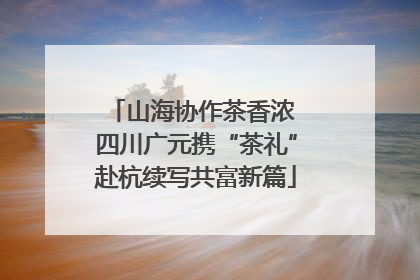 山海协作茶香浓 四川广元携“茶礼”赴杭续写共富新篇