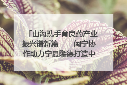 山海携手育良药产业振兴谱新篇——闽宁协作助力宁夏隆德打造中药材产业高地