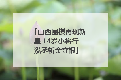 山西围棋再现新星 14岁小将行泓丞斩金夺银