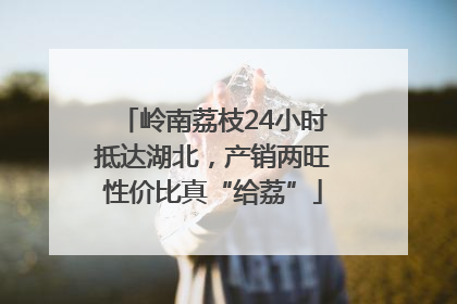 岭南荔枝24小时抵达湖北，产销两旺性价比真“给荔”