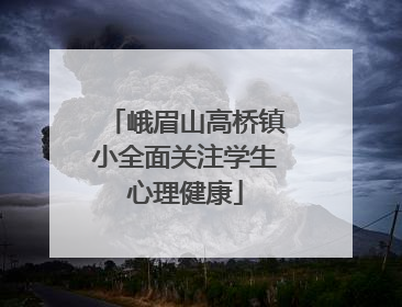 峨眉山高桥镇小全面关注学生心理健康