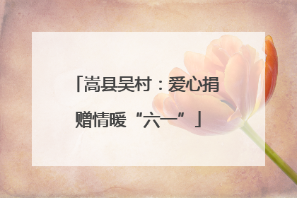 嵩县吴村：爱心捐赠情暖“六一”