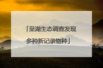 巢湖生态调查发现多种新记录物种