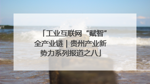 工业互联网“赋智”全产业链｜贵州产业新势力系列报道之八