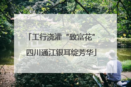 工行浇灌“致富花” 四川通江银耳绽芳华