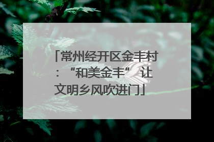 常州经开区金丰村：“和美金丰” 让文明乡风吹进门