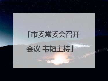 市委常委会召开会议 韦韬主持
